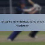 Testspiel: Jugendentwicklung, Wege, Akademien