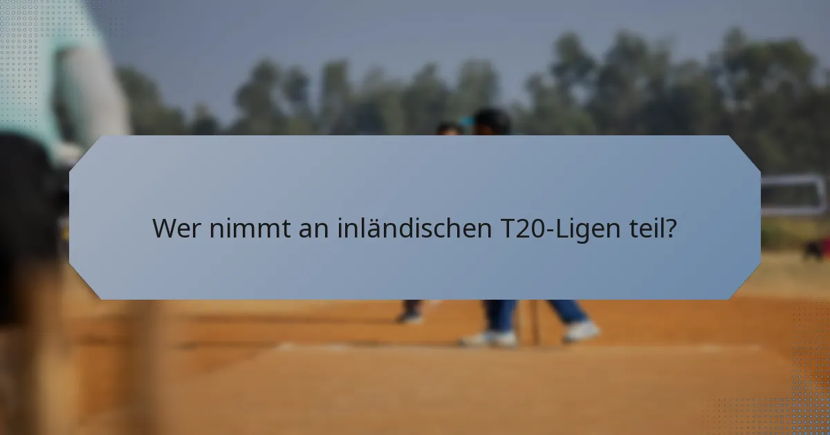 Wer nimmt an inländischen T20-Ligen teil?