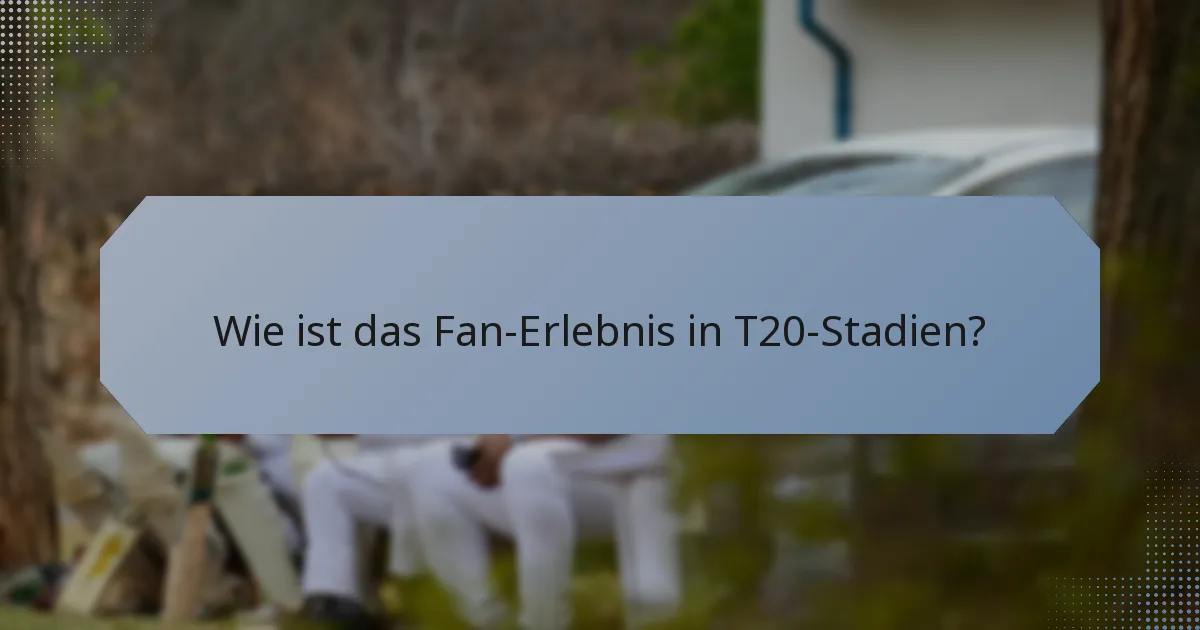 Wie ist das Fan-Erlebnis in T20-Stadien?