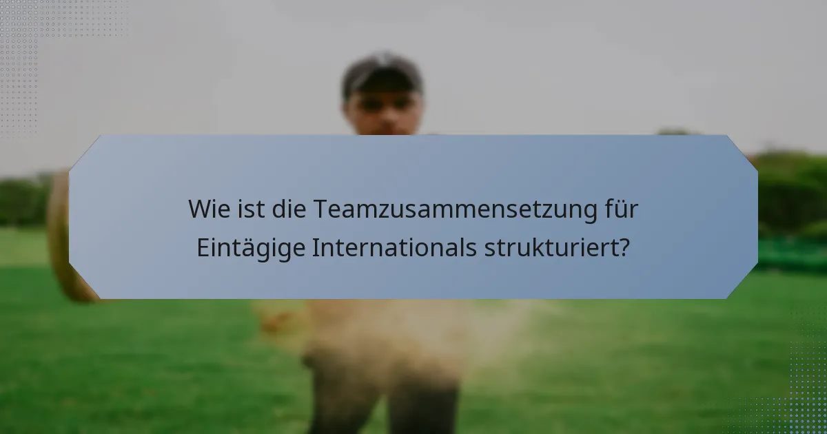 Wie ist die Teamzusammensetzung für Eintägige Internationals strukturiert?