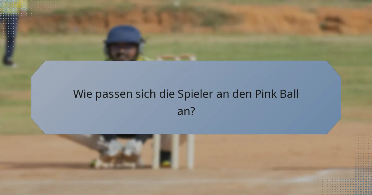 Wie passen sich die Spieler an den Pink Ball an?