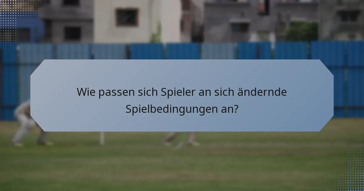 Wie passen sich Spieler an sich ändernde Spielbedingungen an?